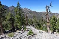 47-continuing_down_usage_trail