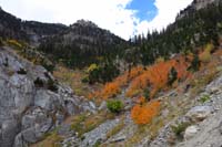 07-great_Fall_colors_along_the_slopes