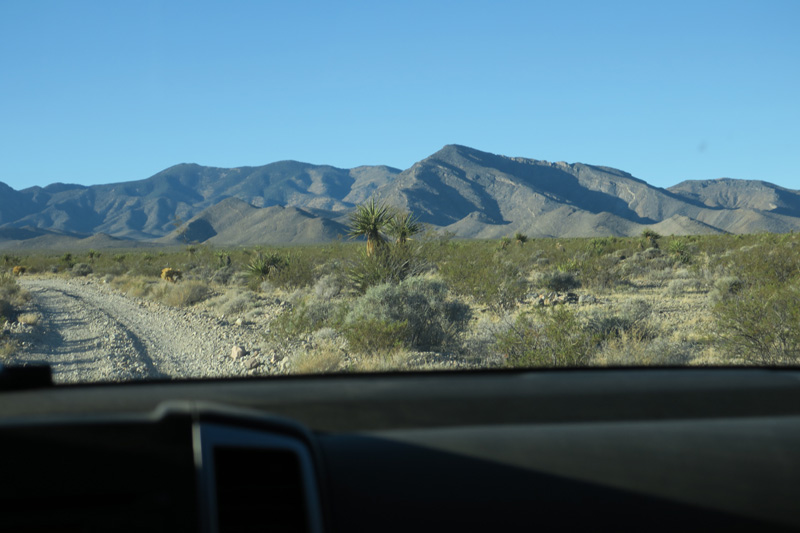 02-Jaybird_Peak_ahead