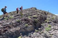 25-Susie,Erica,Amber_on_the_ridge