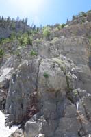 27-Kenny_climbed_up_the_wall-someday_we'll_all_go_higher_and_reach_the_snowpack_source_of_waterfall