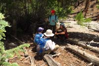 46-kids_taking_a_break_before_reaching_the_actual_trail