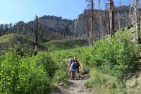 06-great_to_see_new_aspen_growth_after_big_forest_fire_4_years_ago