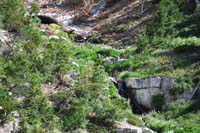 57-zoom_of_that_pretty_scenery_with_flowers_and_flowing_water_from_snow_melt