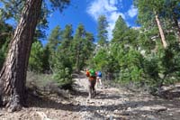 02-heading_up_a_steep_ascent_through_the_forest_along_an_old_seemingly_road