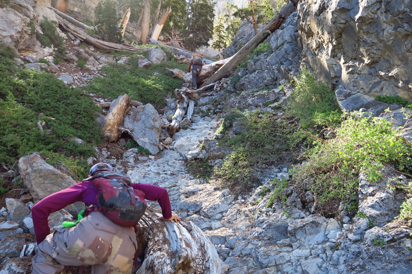 11-continuing_up_drainage