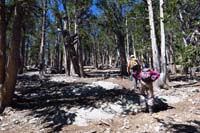 23-literally_a_walk_in_the_forest