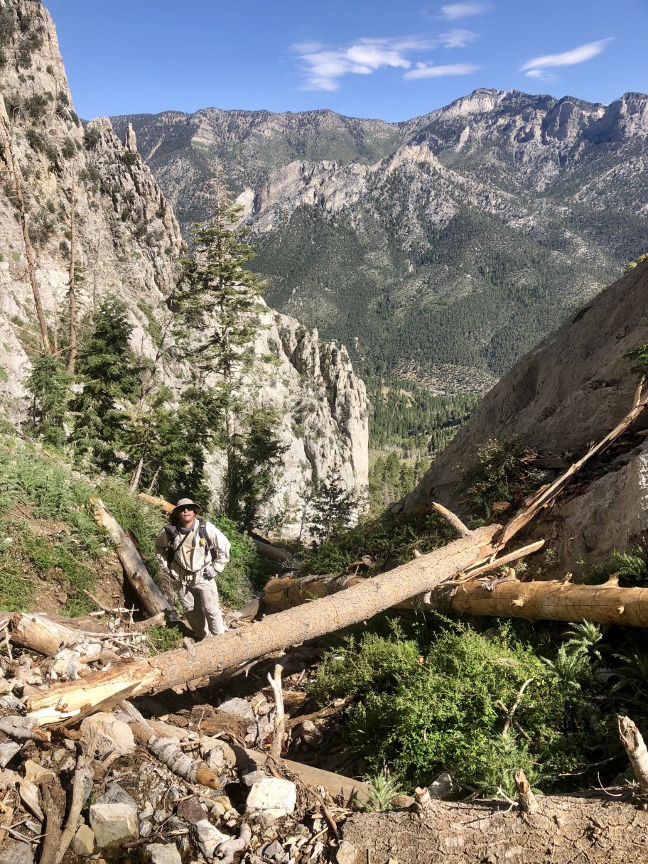 04-looking_back_to_me-from_Laszlo