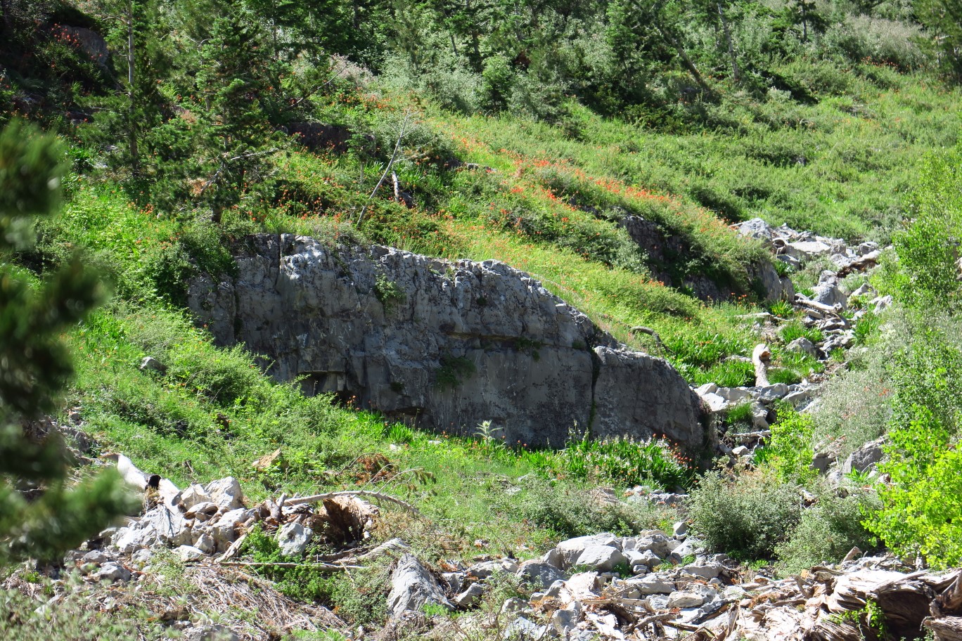 32-pretty_natural_spring_area