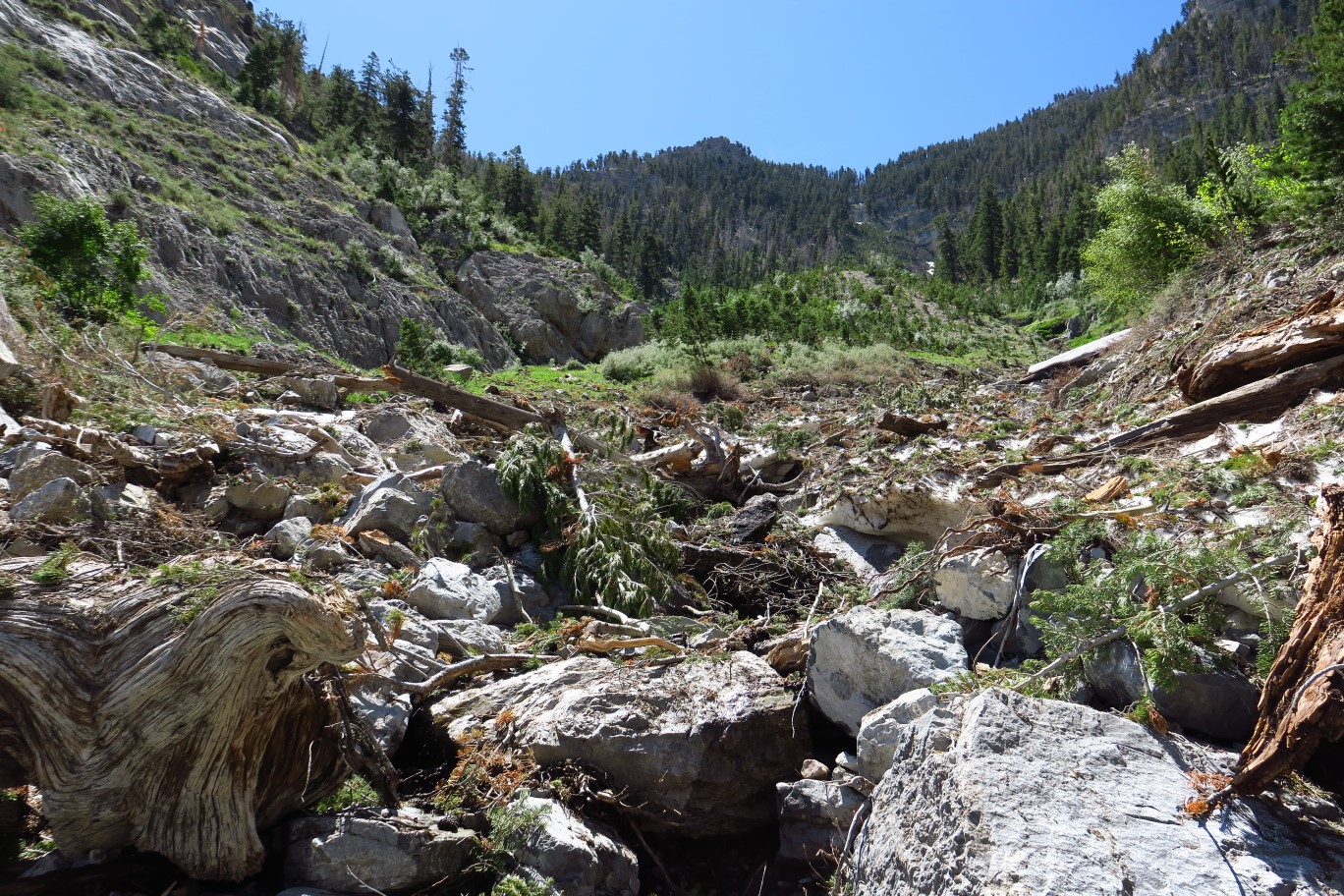 35-continuing_up_to_avalanche_chute