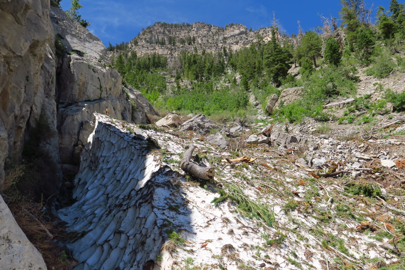 37-good_amount_of_snow_still_exists