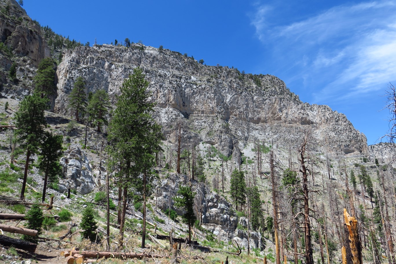 45-looking_at_Echo_Cliff_Overlook