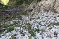 39-continuing_along_avalanche_chute,hiker_on_SLT_ahead