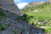 41-looking_back-five_weeks_ago_this_area_was_covered_with_snow,trail_through_snow