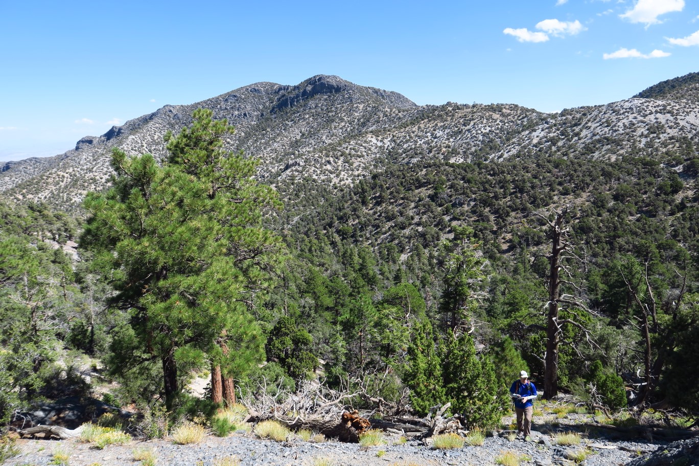 12-looking_back_to_Kevin_ascending