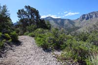 05-scenic_view_from_Stanley_Spring_Junction-normal_trail_straight,alternate_to_left