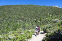 06-looking_back_to_lush_forest_scenery_along_trail