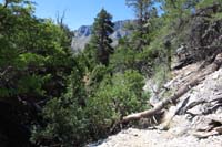 30-view_heading_back_to_spring_junction