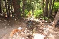 32-Stanley_B._Spring_downstream-this_water_is_good_to_drink_since_source_is_not_via_mines