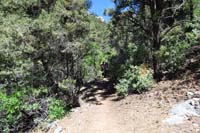 40-looking_back_to_Mommy,Kenny,and_Rainier_on_the_trail