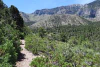 41-scenic_view_with_mountain_homes_in_distance