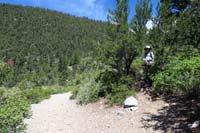 43-junction_with_main_trail-continue_down_the_trail