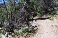 44-trail_junction-came_up_path_to_left,Daddy_taking_old_road_straight