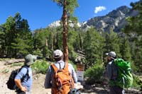 02-Garron_and_Mark_listen_to_Ed_explaining_south_gully_to_right_of_tree_in_center