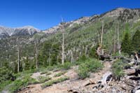 04-scenery_along_NLT-Mt_Charleston_in_distance