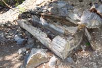 53-Cave_Spring_with_no_water_flow
