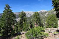 03-pretty_scenery-Mt_Charleston_in_distance