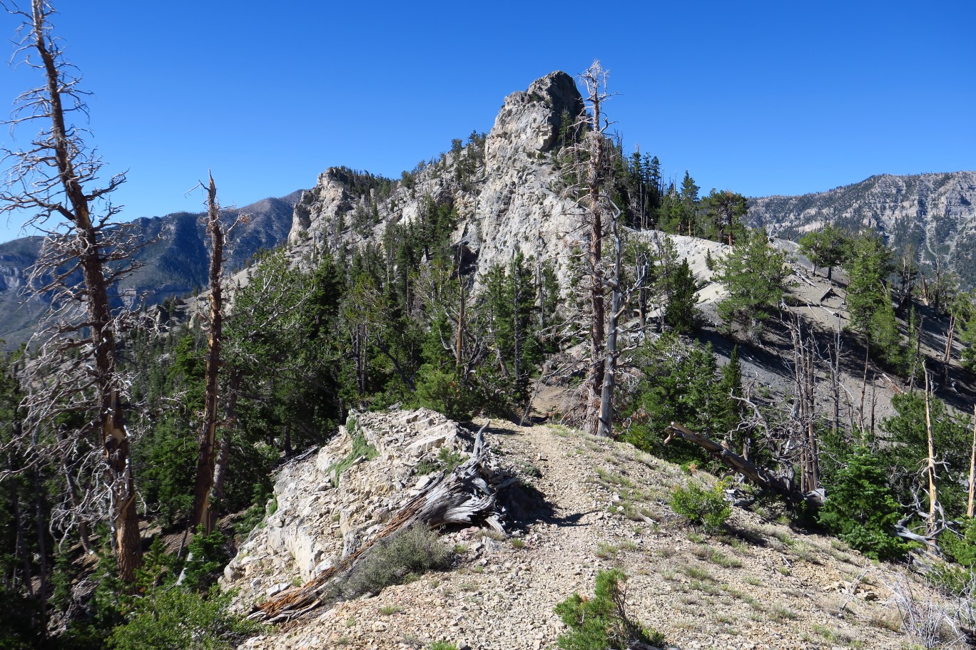 02-prominent_usage_trail_along_ridge