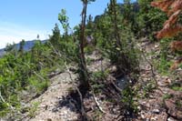 27-we_had_hard_time_following_parts_of_the_road_since_so_overgrown,a_trail_would_be_nice