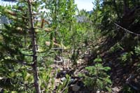 28-lots_of_bushwacking_and_route_finding_while_looking_at_old_maps_on_phone