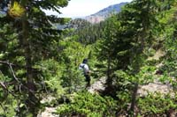 29-still_bushwacking,Cathedral_Rock_in_distance
