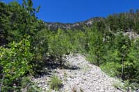 31-looking_back_to_'dirt_road'-tore_my_pants_so_badly_they_had_to_be_retired