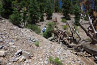 32-following_cairned_route_for_quarter_mile_to_N_before_loosing_usage_path,turned_around