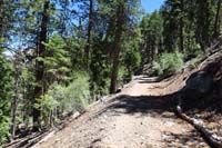 34-contined_along_well-used_dirt_road_and_down_trail_to_trailhead