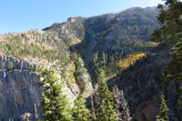 63-pretty_sceney_along_the_trail