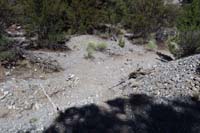 16-Blue_Tree_63B-looking_back_to_trail_through_washed_out,but_defined_section