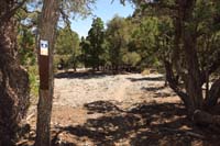 17-Blue_Tree_63A-noticed_an_unnecessary_sign_tied_to_a_tree,didn't_notice_traveling_other_direction