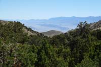 20-zoom_of_desert_peak_scenery_in_distance,then_lunch_soon_afterwards_at_Blue_Tree_62