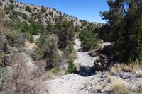 21-after_lunch_continuing_across_wash,then_up_slope_across_Lee_Canyon_Rd