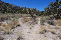 22-Blue_Tree_62B-looking_back-moved_waypoint_location_to_cairn_so_hiker_doesn't_go_up_wash,turns_right_for_trail
