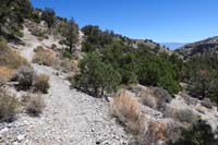 23-continue_up_steep_slope_to_Lee_Canyon_Road