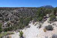 24-looking_back_to_canyon_from_top_of_steep_slope,caution_for_inexperienced_horse_riders