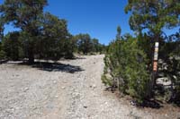 28-Blue_Tree_56B-didn't_notice_sign_previously,necessary_since_traveling_this_direction_so_no_motorized_vehicles