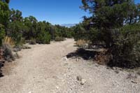 30-Blue_Tree_83-looking_back_down_road-remove_sign_in_tree_to_right