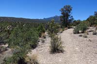 33-trail_continues_up_and_around_Blue_Tree_group_camping_area_to_left