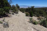 34-looking_back_to_trail_and_desert_scenery_in_distance